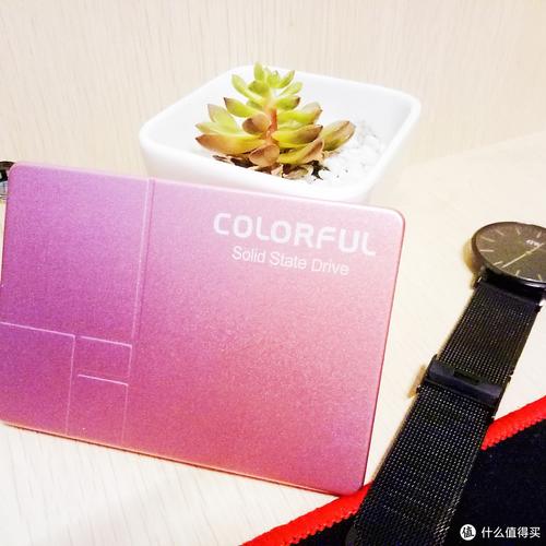 七彩虹SL300春季限量版 vs 海盗船MP600 CORE vs 盈通极速 深度对比