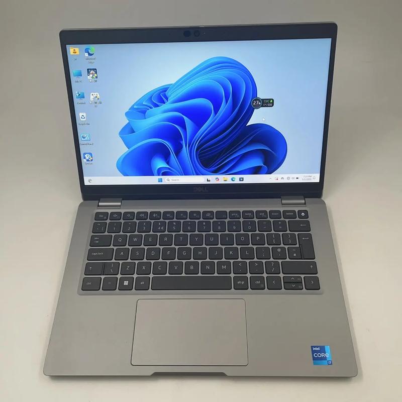 商务人士使用戴尔显示器办公