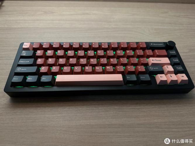 黑吉蛇AL65 vs 狼蛛F3587 深度对比