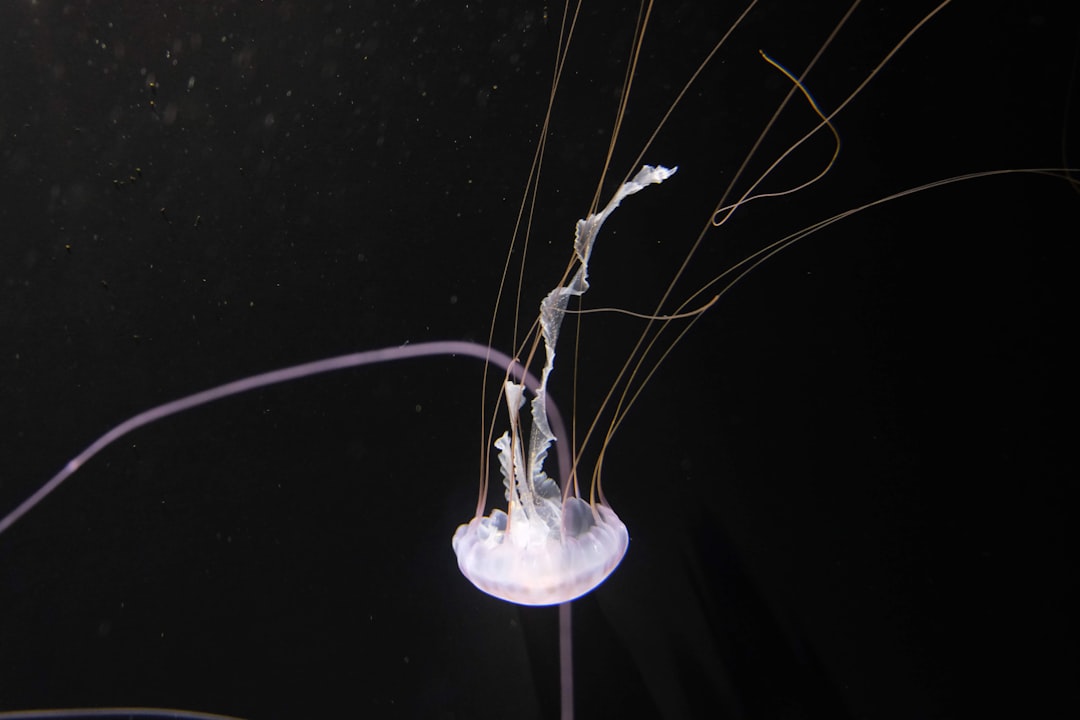 电竞鼠标在游戏场景中的性能测试