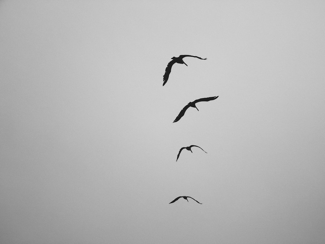 Price tags and currency symbols on a table