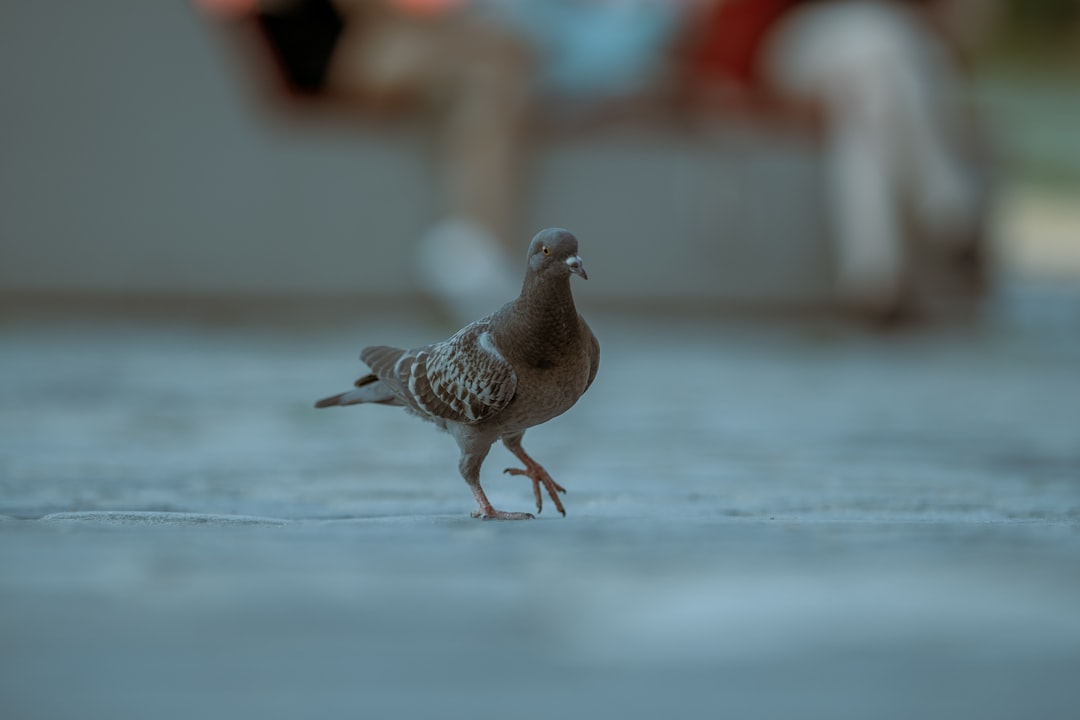 Person using a gaming mouse in a competitive setup