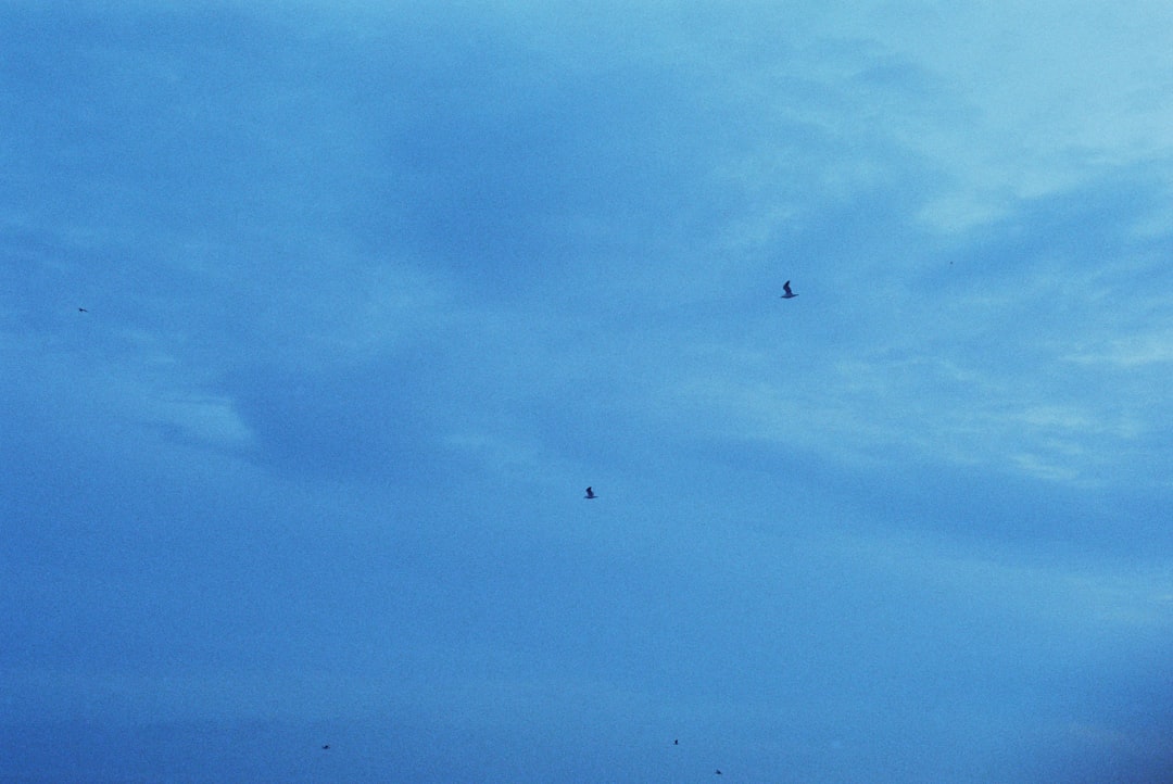 双飞燕S90RT像素大战蓝评测：阿尔法变速光轴与全彩背光的98键机械键盘