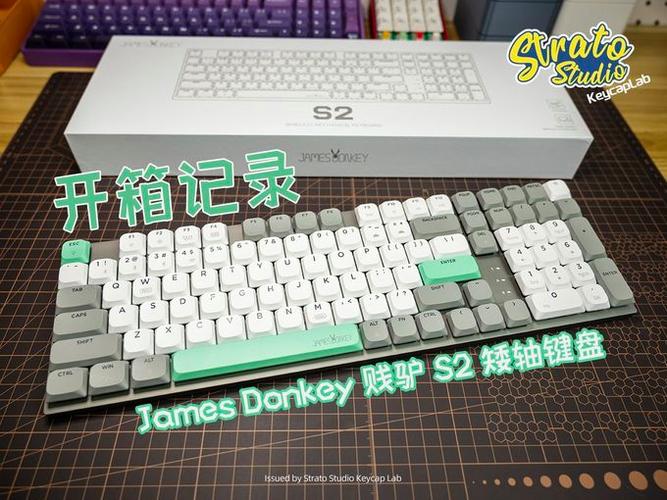 贝戋马户112 vs 宜博M145 vs 血手幽灵P81 三款有线鼠标深度对比