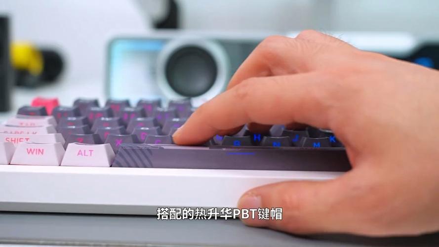 Different types of keyboards for various user needs