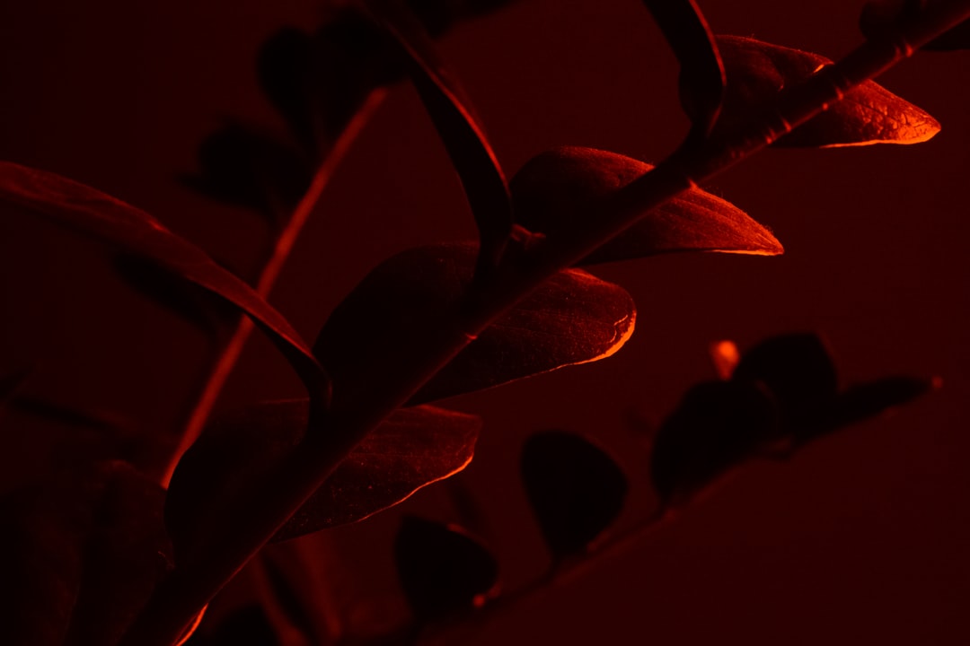 狼蛛F98pro V2评测:三模连接+Kpro银轴,办公游戏全能之选