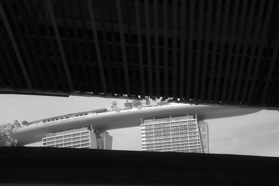 购买决策和性价比分析