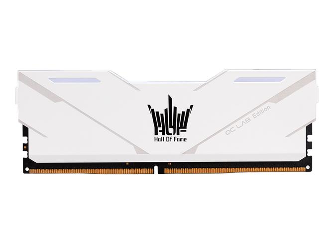 性能测试软件界面,显示内存带宽和延迟数据