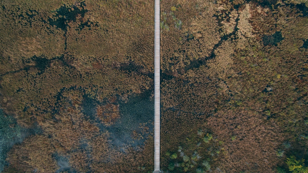 性价比计算示意图