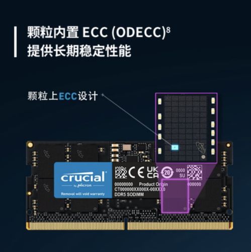 内存条标签，显示规格参数如DDR5和4800MHz