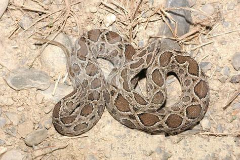 不同场景下的鼠标使用示意图