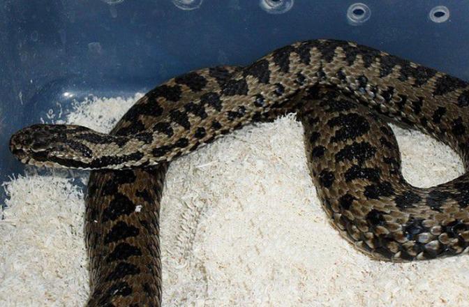 电脑硬件组件特写，象征核心规格分析