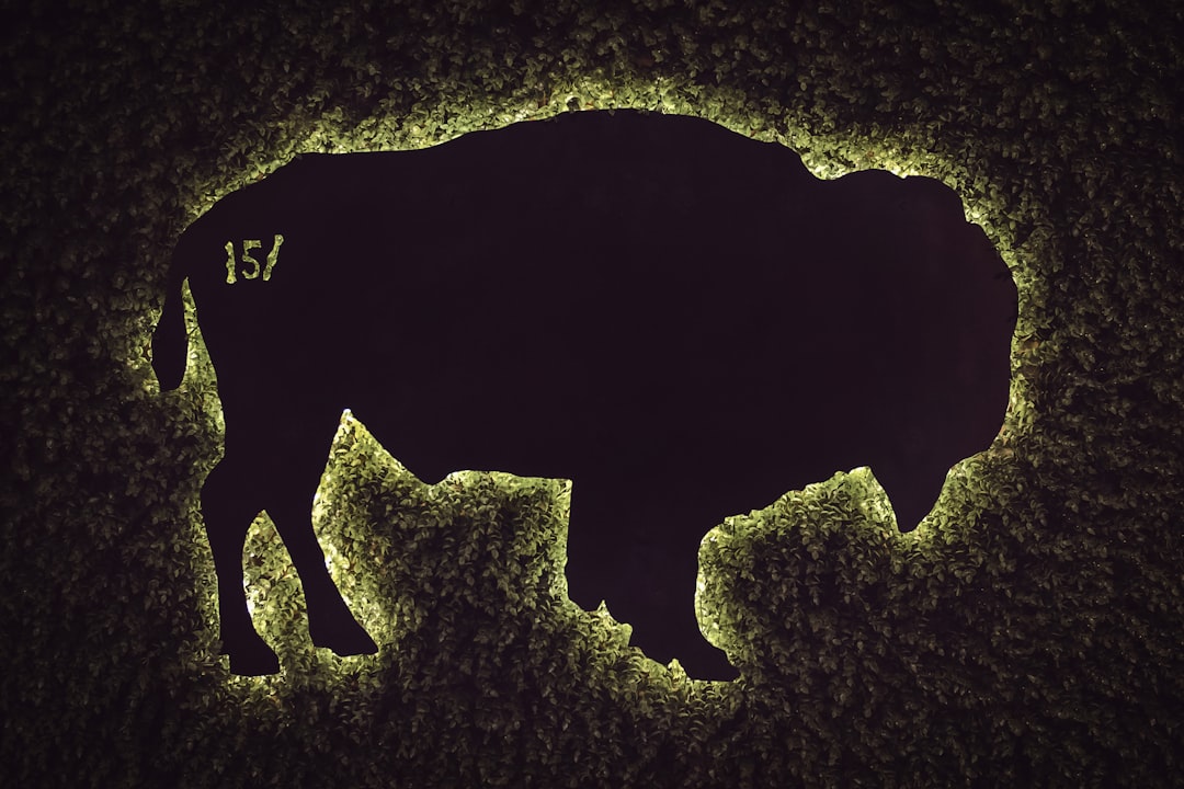 金士顿FURY Beast野兽RGB DDR5 4800 8GB深度评测:入门级DDR5的颜值与性能之选