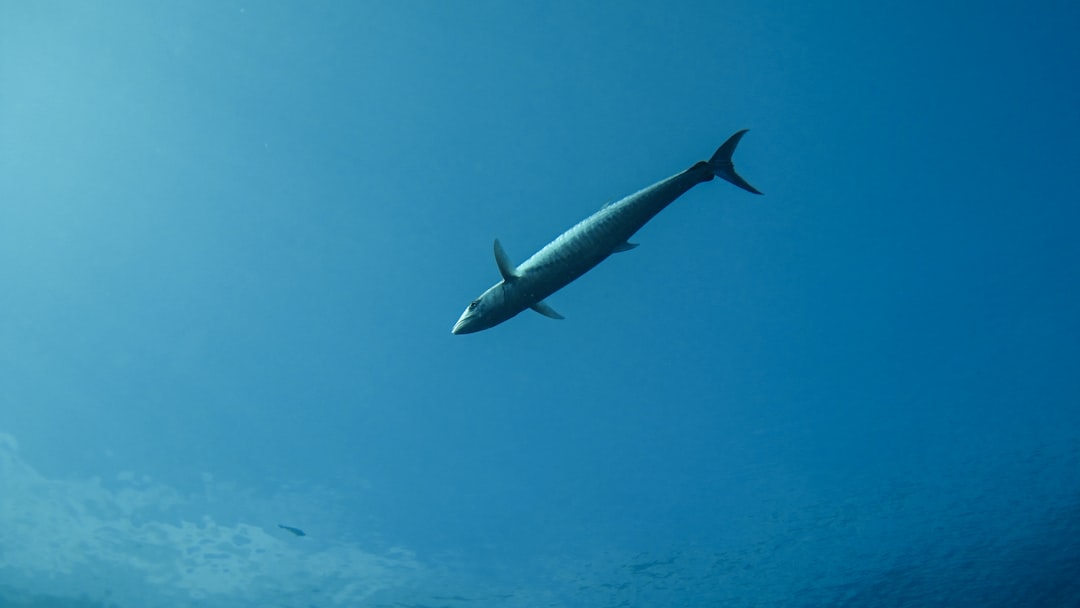 价格标签和货币符号表示成本分析