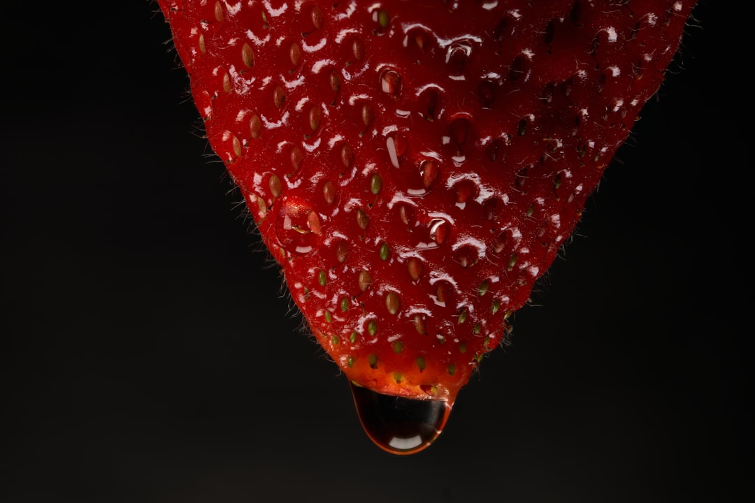 新盟X98ProV2 vs 戴尔KB216 深度对比：客制化机械键盘与经典办公薄膜键盘的较量