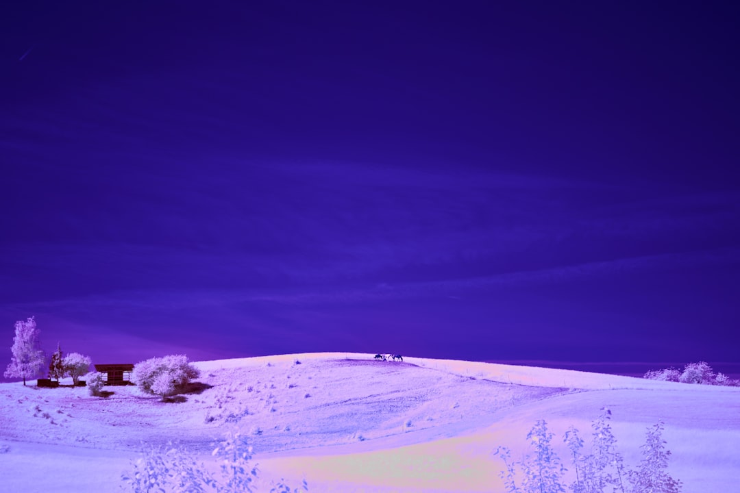 前行者X87 vs 新盟M75 vs reccazr KW75pro 深度对比