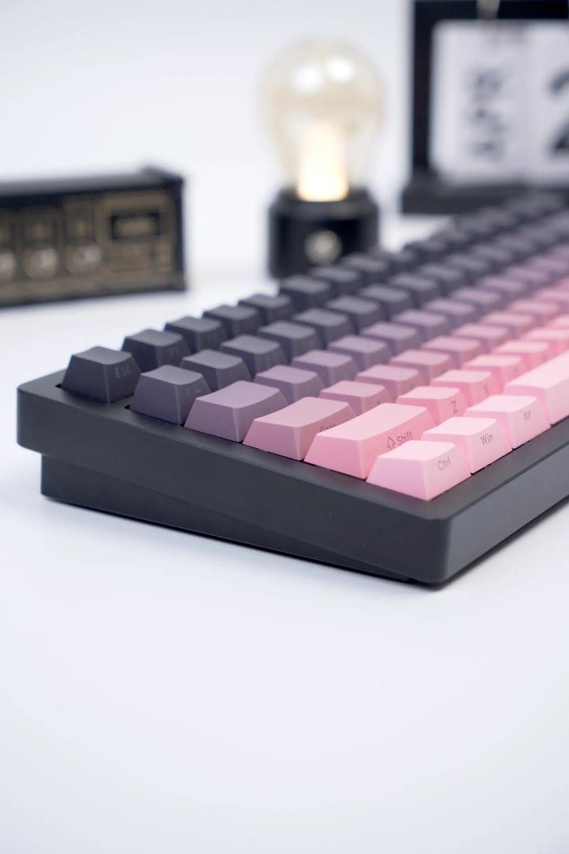 键盘核心组件展示