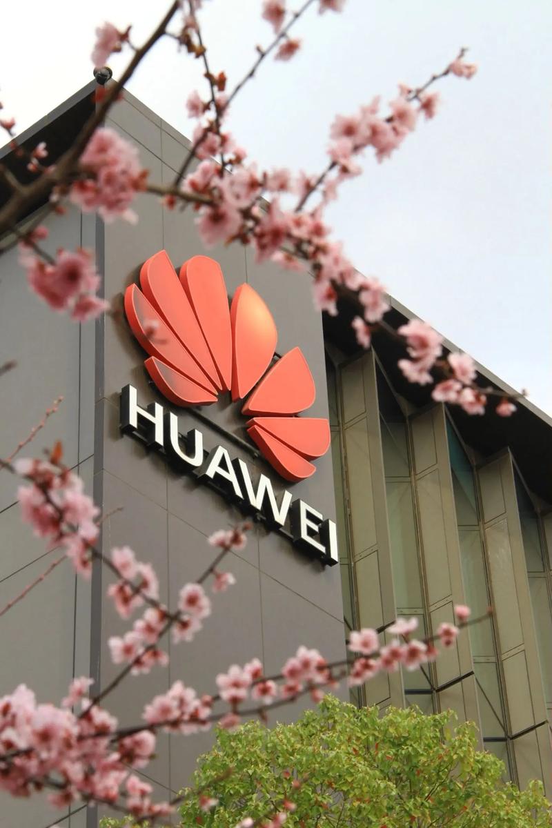 价格标签和产品对比，突出性价比