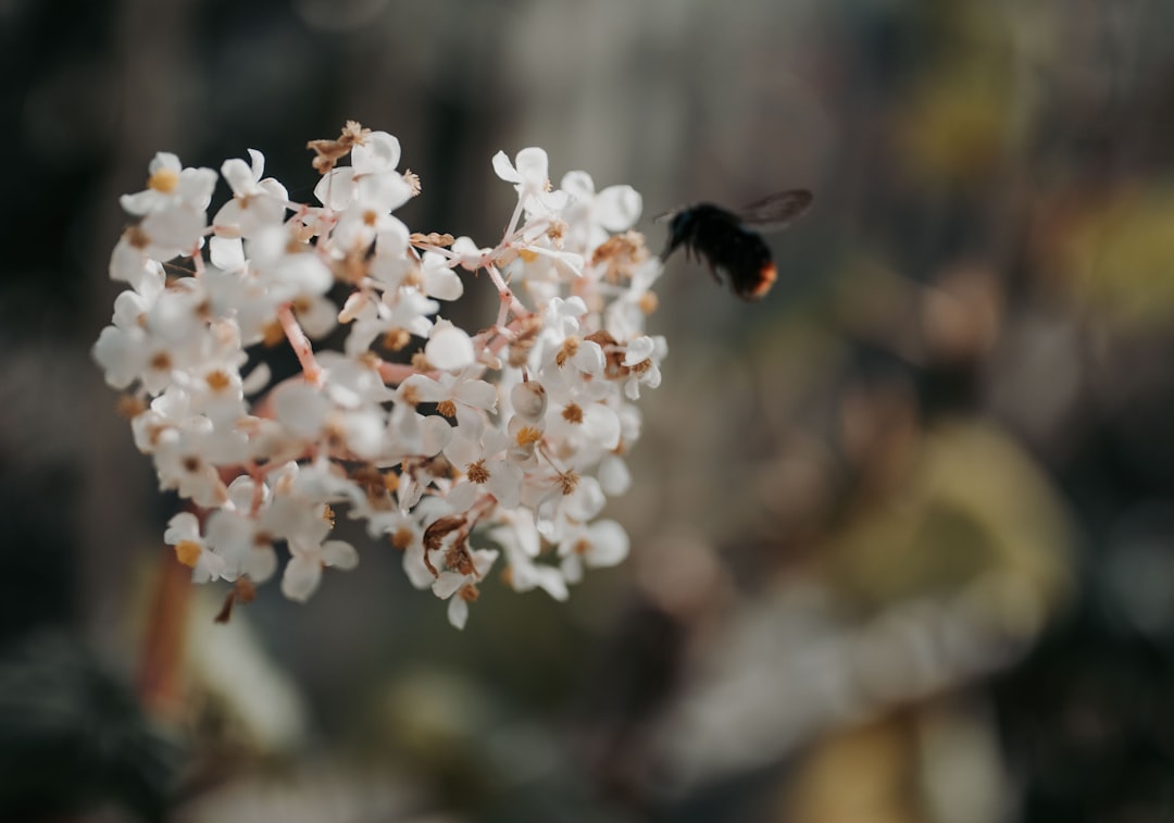 键盘购买决策和对比场景