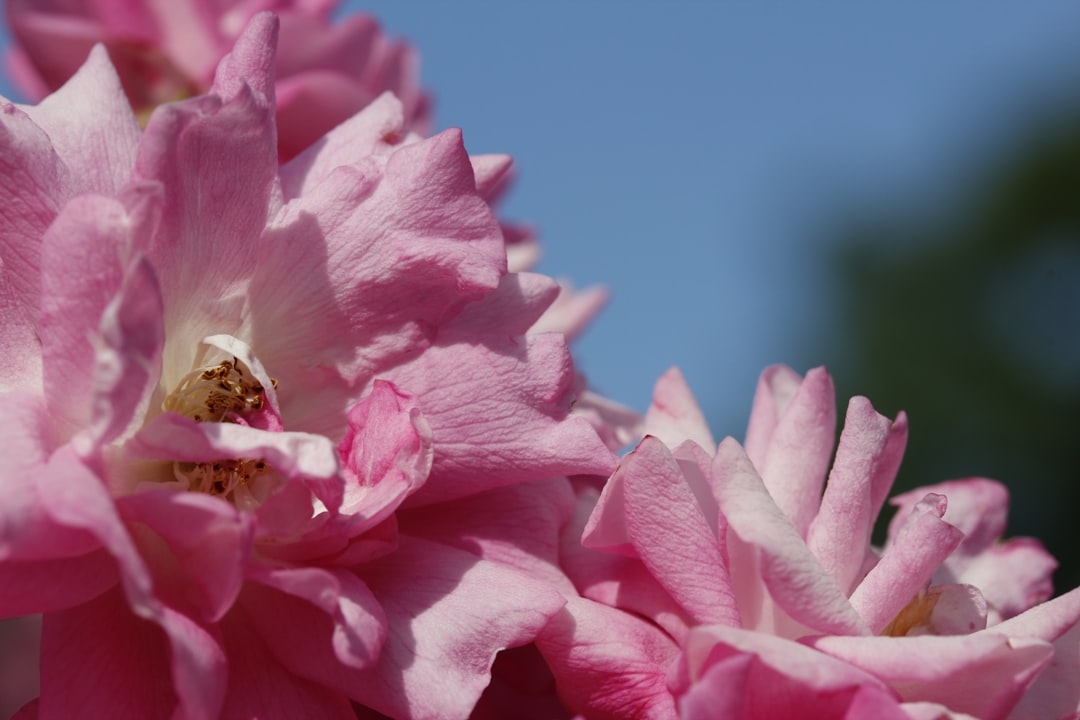 键盘功耗和散热示意图
