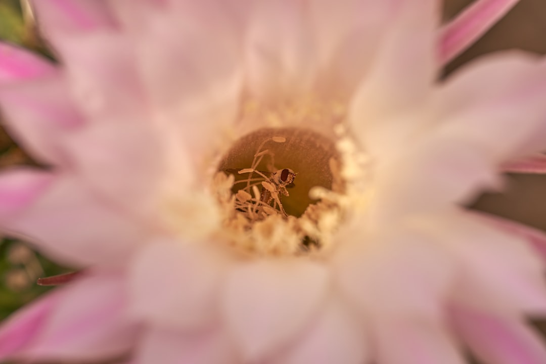 键盘细节和材质特写