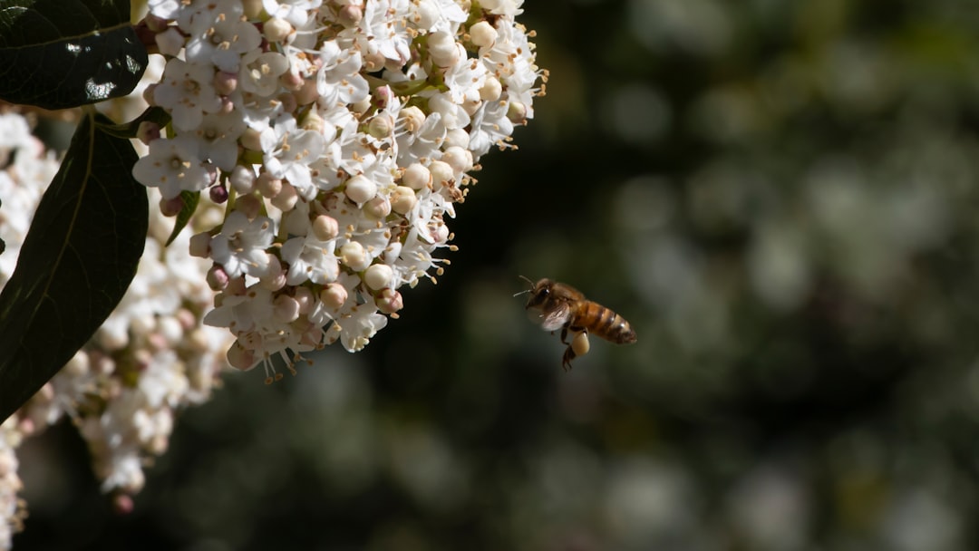 键盘轴体和接口特写