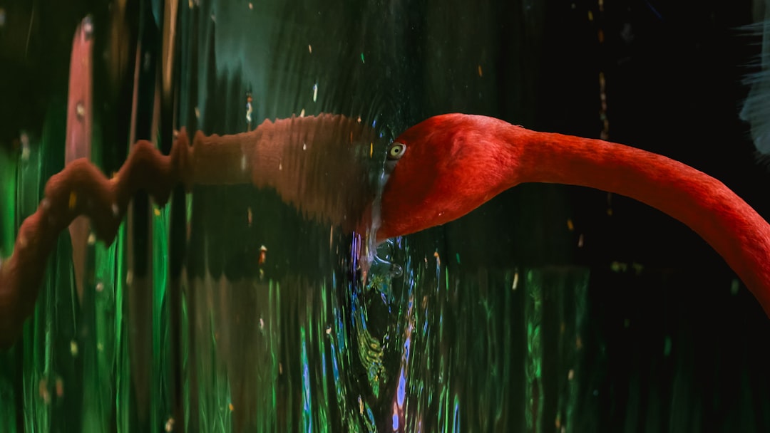 鼠标线材和连接细节