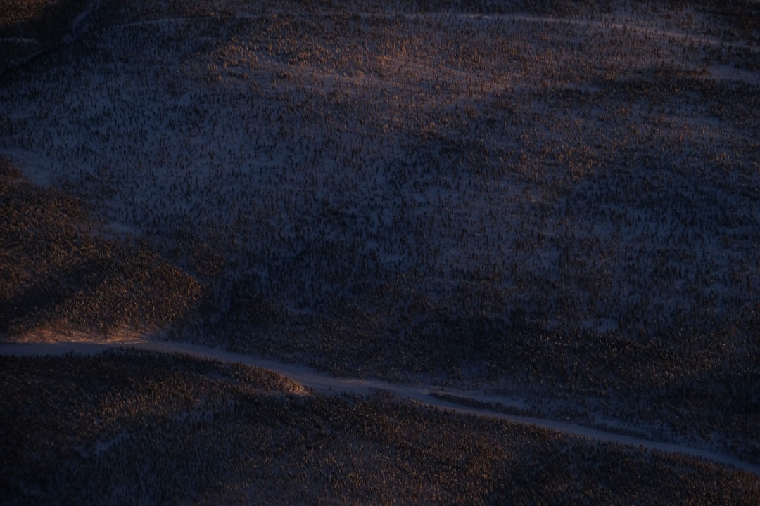 购物和价格比较场景，突出购买决策