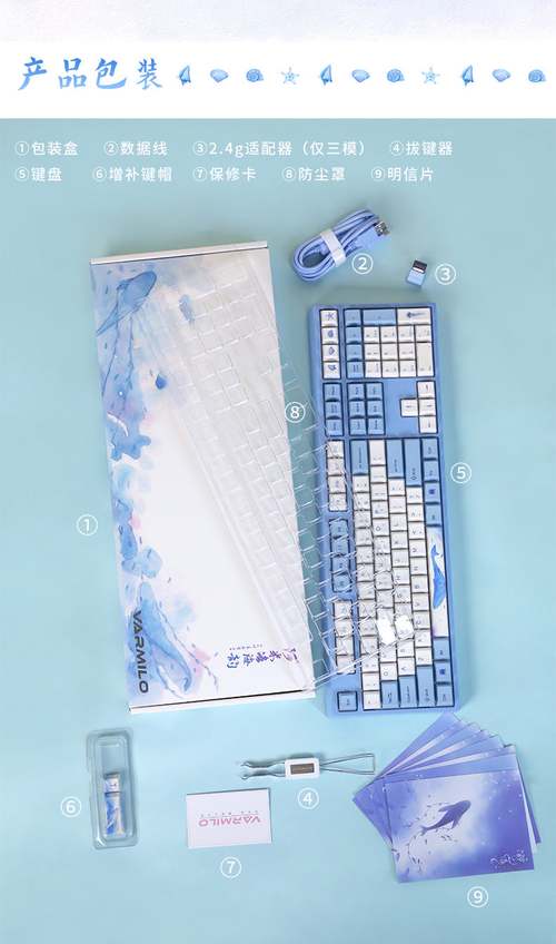 价格与性价比分析