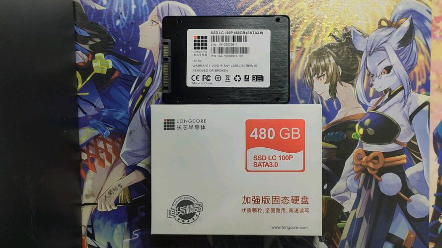 长芯LC 100P（250GB）评测：入门级SATA固态硬盘的性价比之选