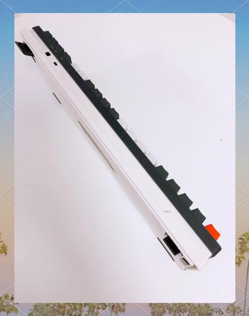 键盘购买决策和性价比分析