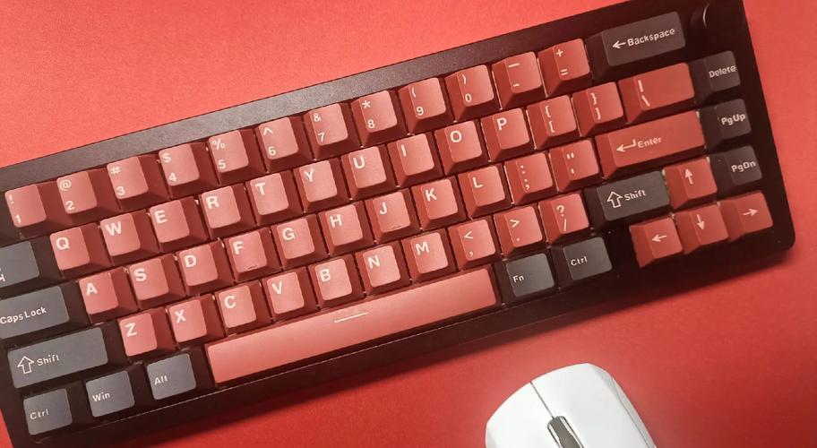 黑吉蛇AL65 vs 海盗船K55 RGB 深度对比