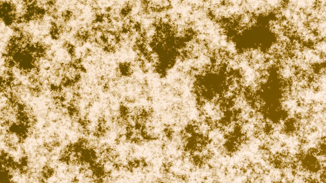 价格与性价比分析图表