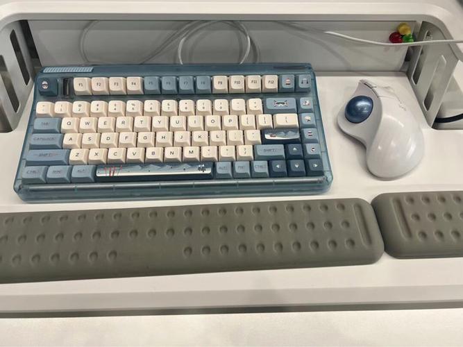 iQunix OG80 vs 飞利浦 SPK8605 深度对比