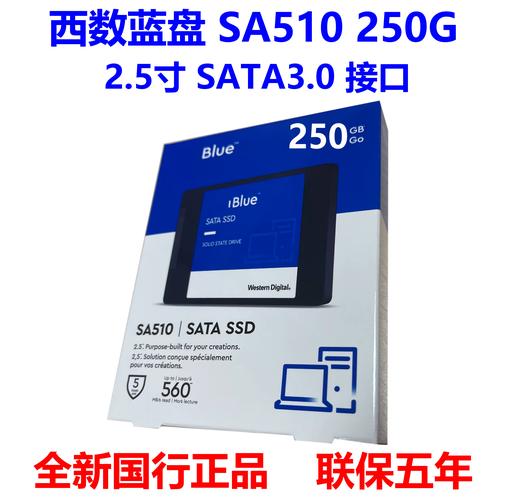 西部数据Blue SA510 SATA(500GB)评测:入门级固态硬盘的均衡之选