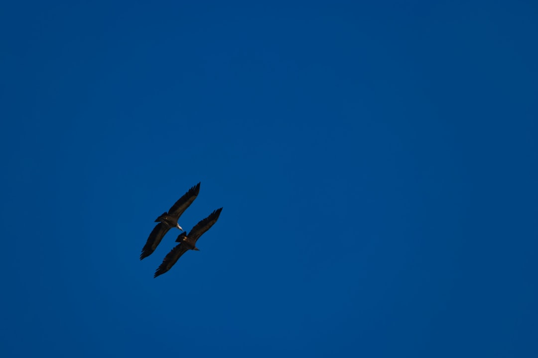 键盘技术参数展示