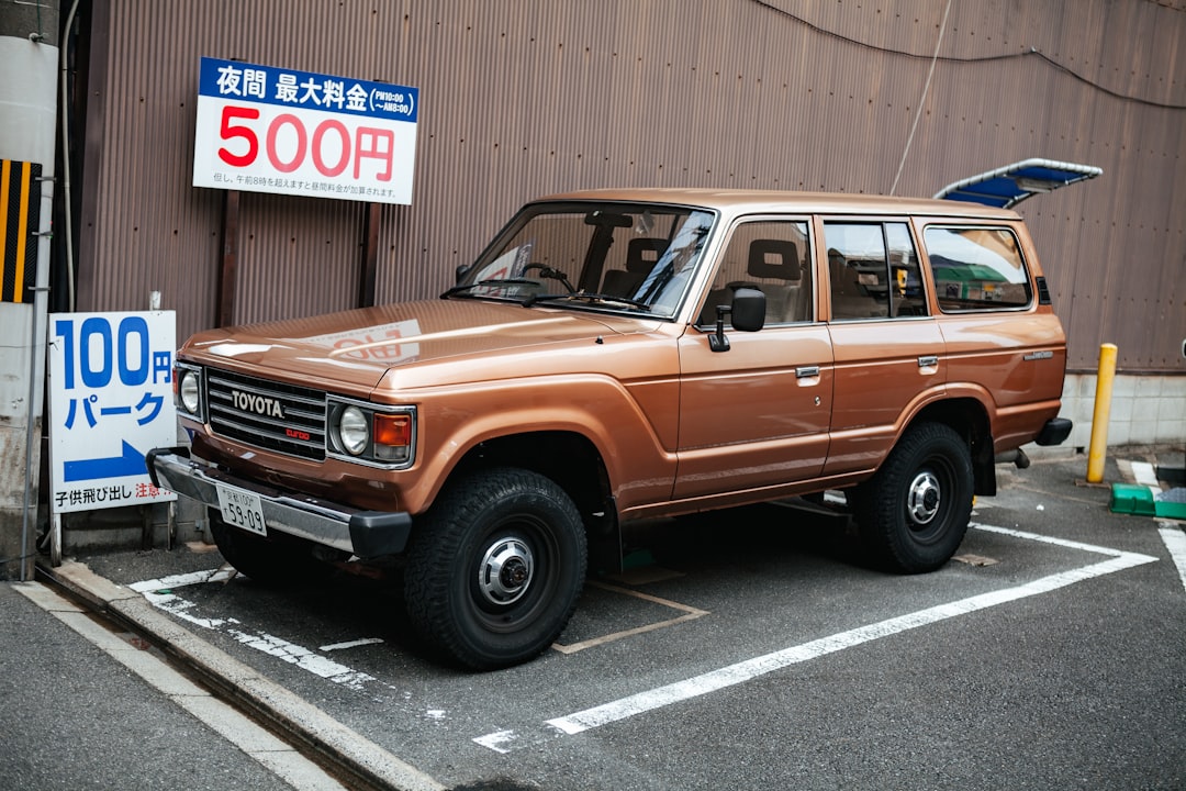 购物建议和性价比分析图表