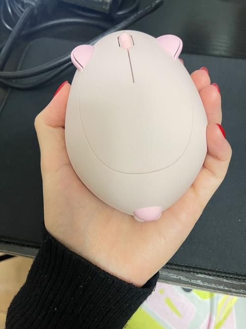 Person choosing between different computer mice