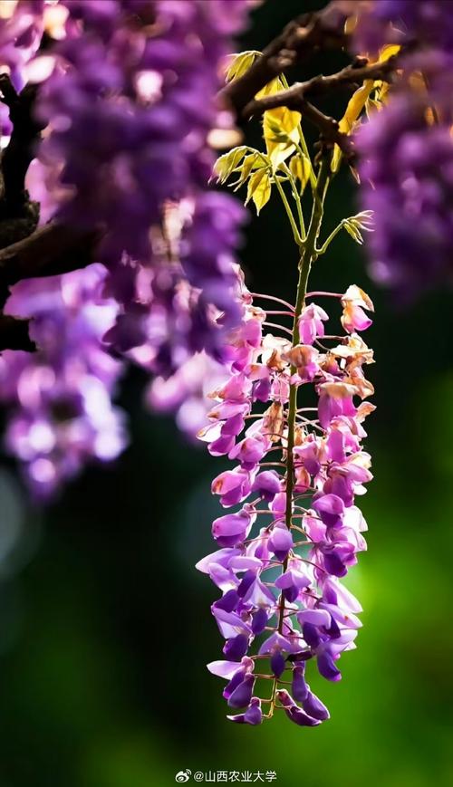 键盘游戏性能测试