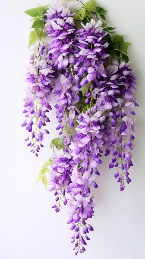 紧凑布局键盘桌面展示