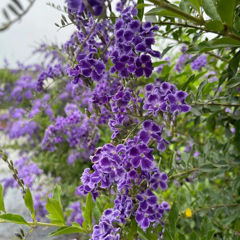 键盘性价比分析