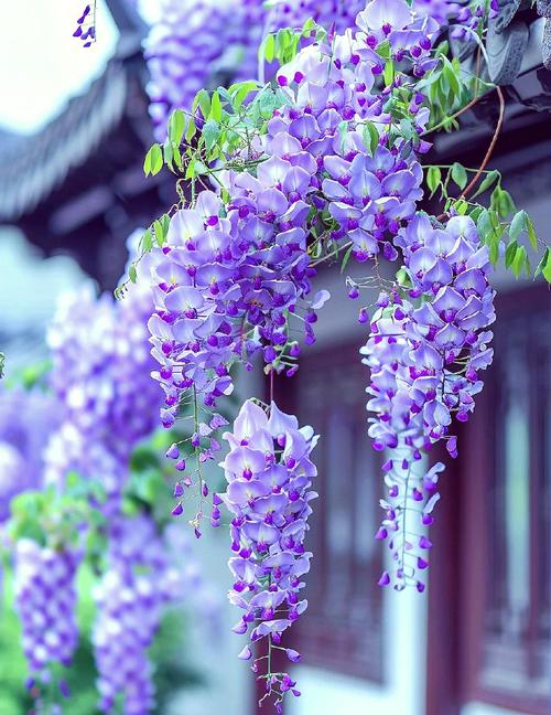 键盘热插拔技术展示