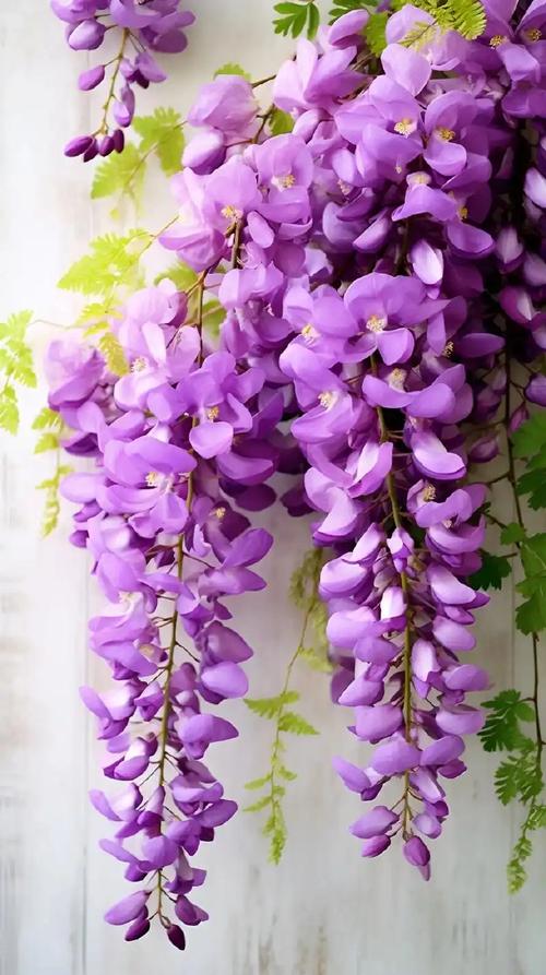 机械键盘轴体特写