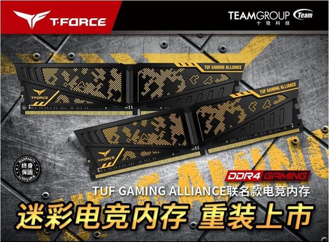 内存散热片和温度监控图表