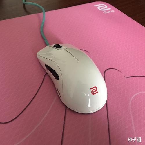 价格标签与性价比分析