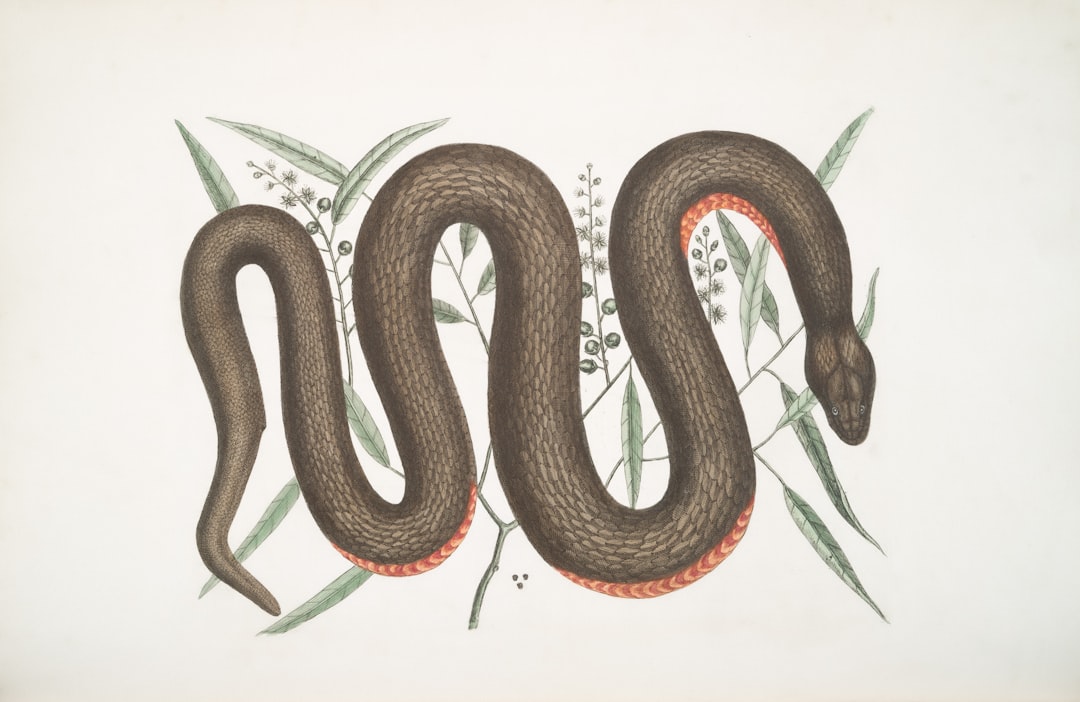 棘蛇DDR3 vs 捷派DDR4 vs 科赋DDR5 内存深度对比