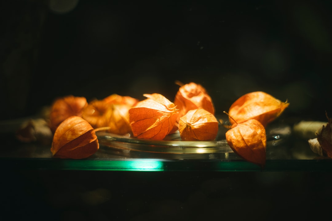 性价比分析示意图