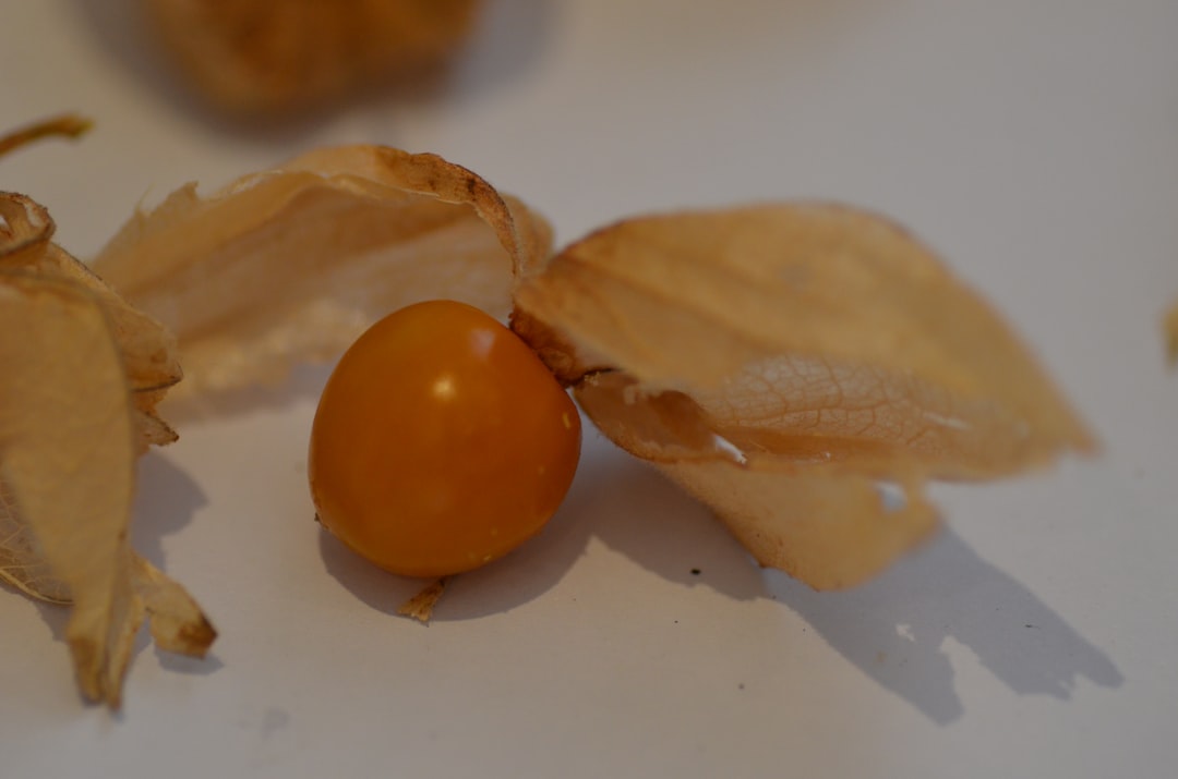 键盘连接方式展示