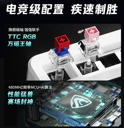 腹灵 腹灵GEO75HE TTC RGB万磁王轴 键盘产品图片