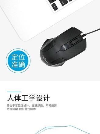 雷迪凯（LDK.al）a1 - 图片 5